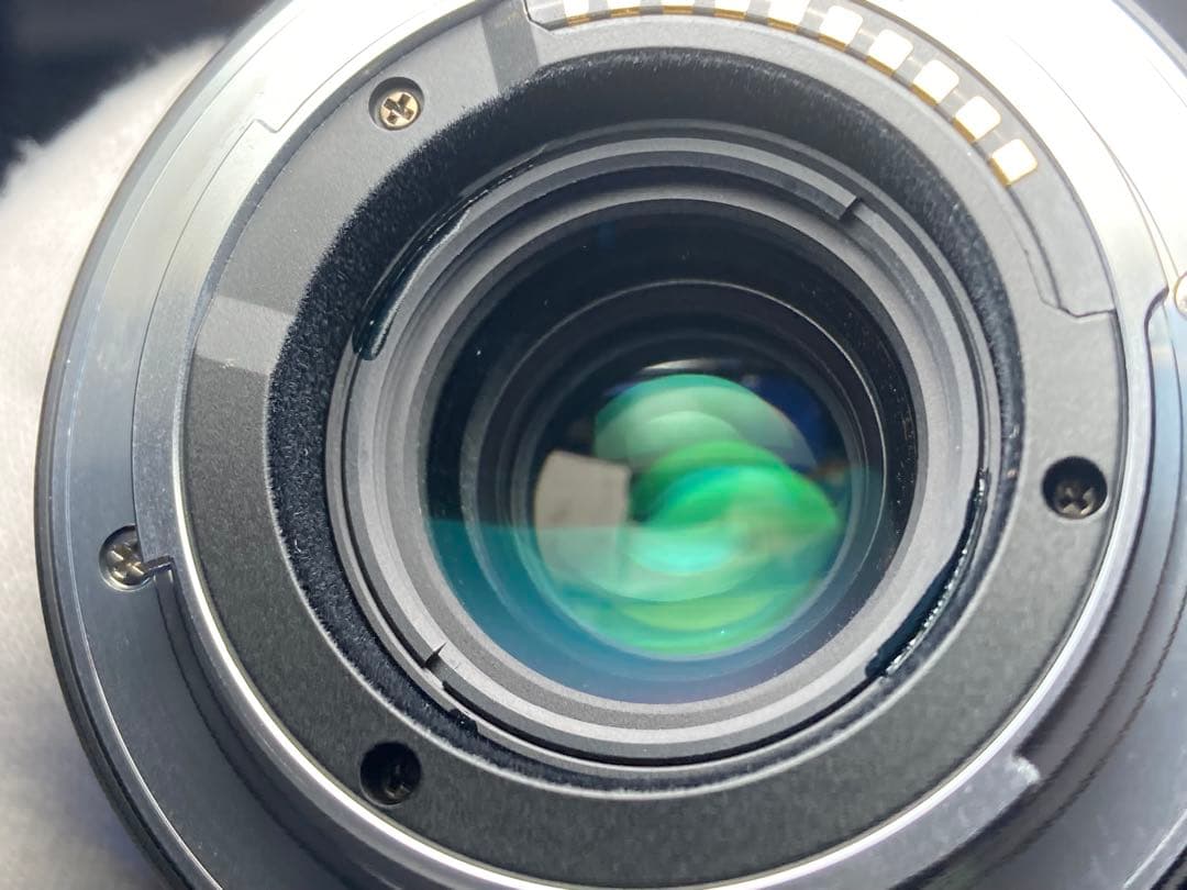 作例付き　TOKINA FiRIN 20mm F2 MF Eマウント　管mpr