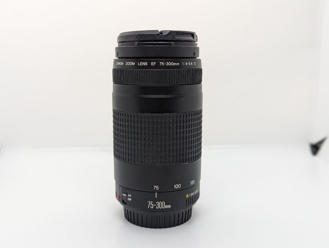 8月13日限定♪【超望遠レンズ】Canon EF 75-300mm Ⅱ