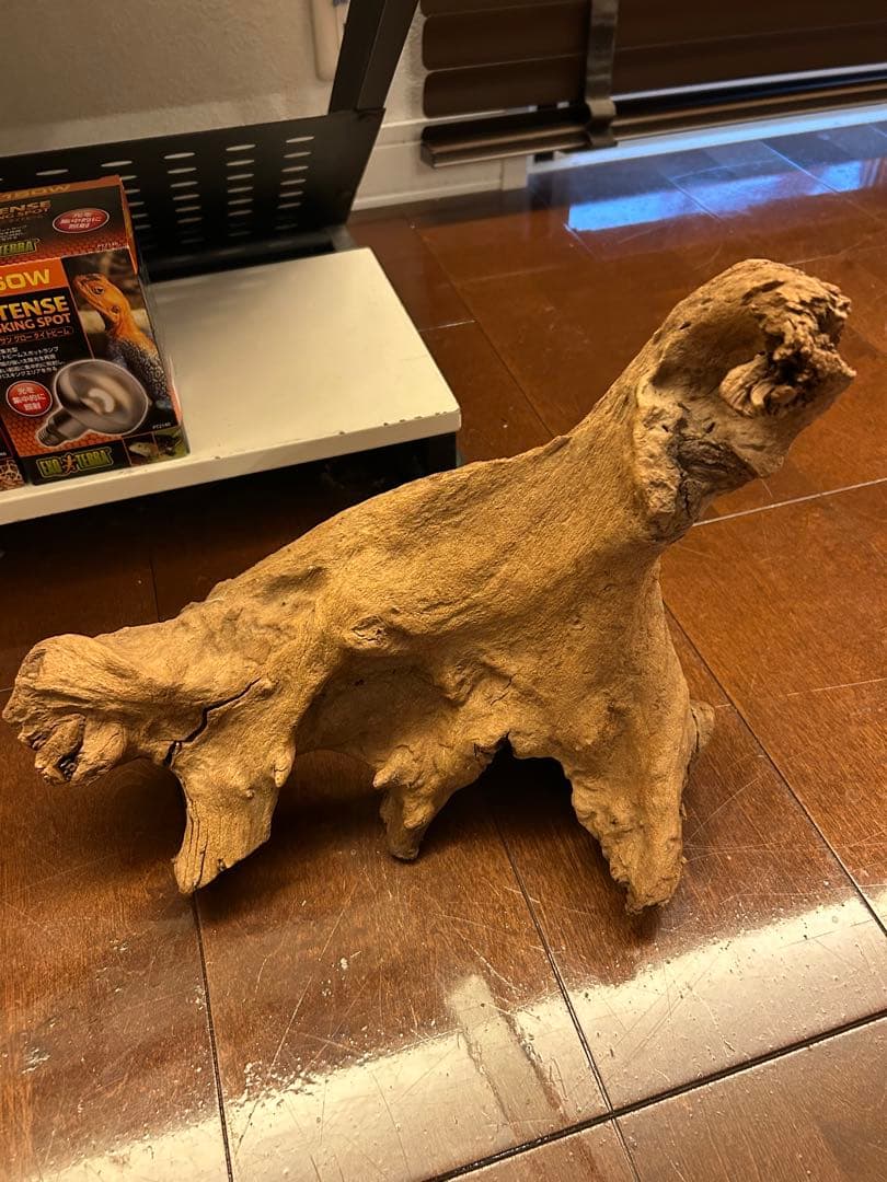 温室・飼育ケース kuroganeotome