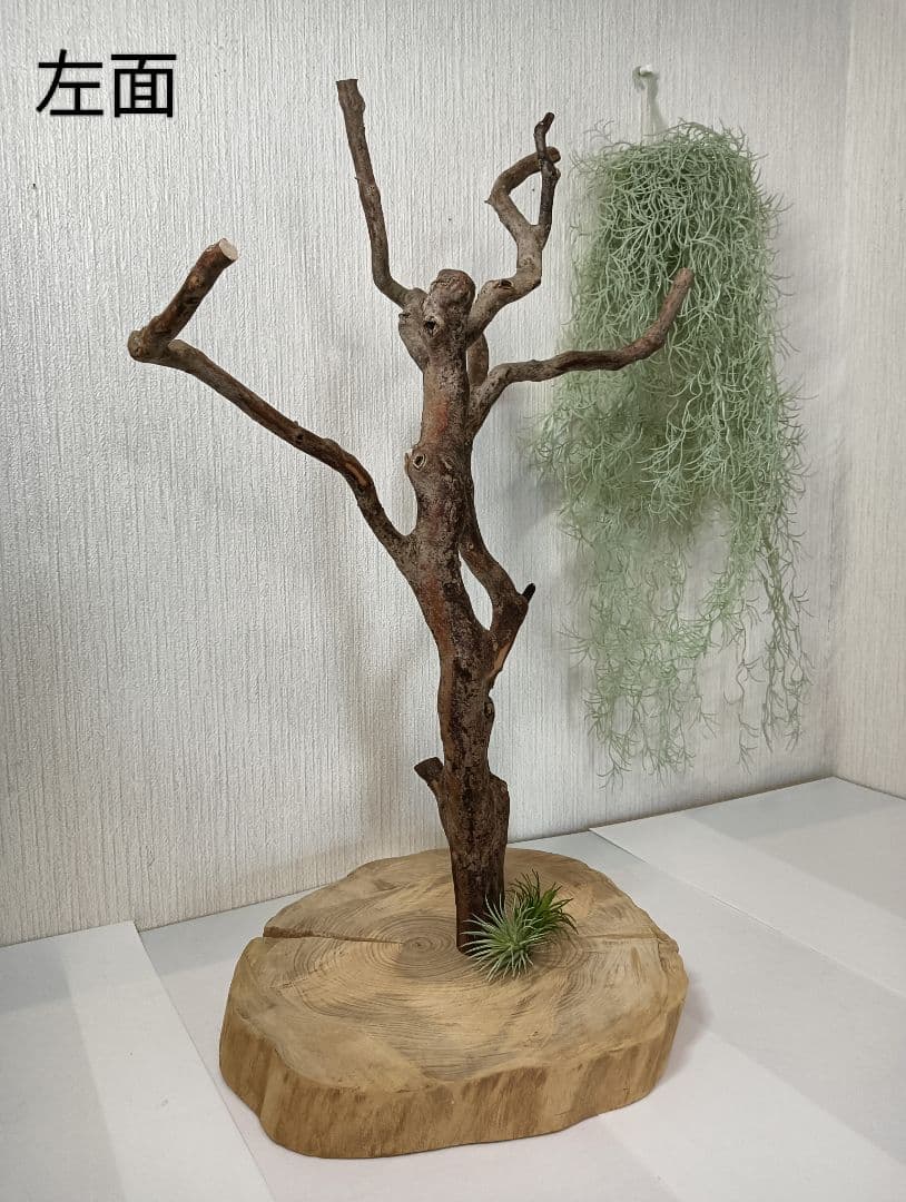 流木527　小鳥止まり木　卓上　バードアスレチック