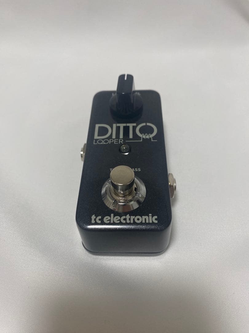 <新品>DITTO LOOPER ルーパー