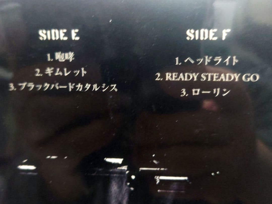 The Birthday / GO WEST, YOUNGMAN・重量盤3LP