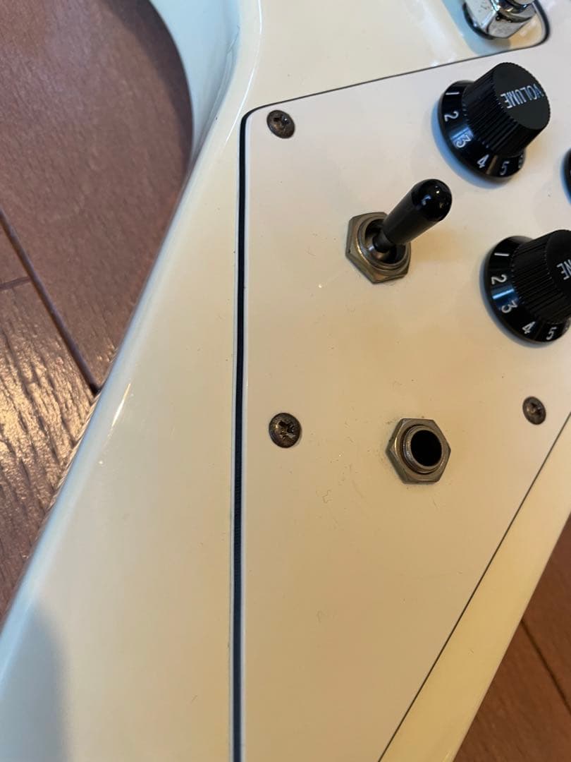 Monsty フライングV ソフトケース付き　音出し確認済み