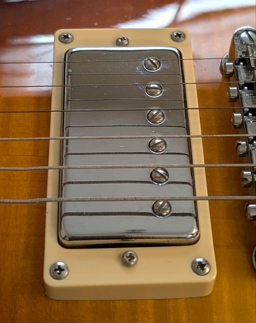 グラスルーツ　レスポールタイプ　エントリーレベル