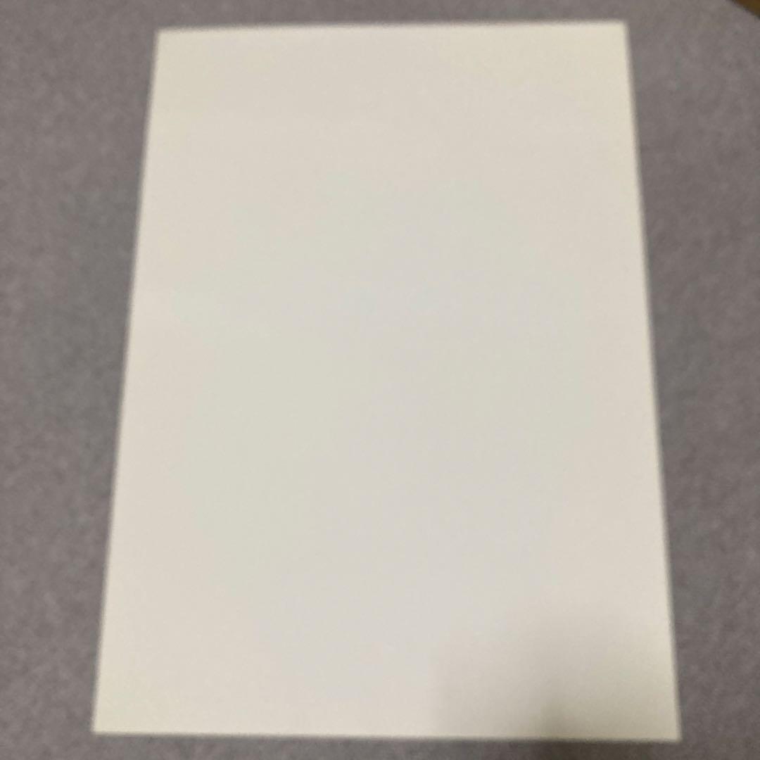 井川遥　BODY WILD FIT BOXER ポスター　美品　グンゼ　黒　３