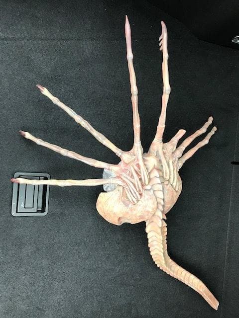 レア！クイーンフェイスハガー　1/1 組立塗装済み完成品　破損有り