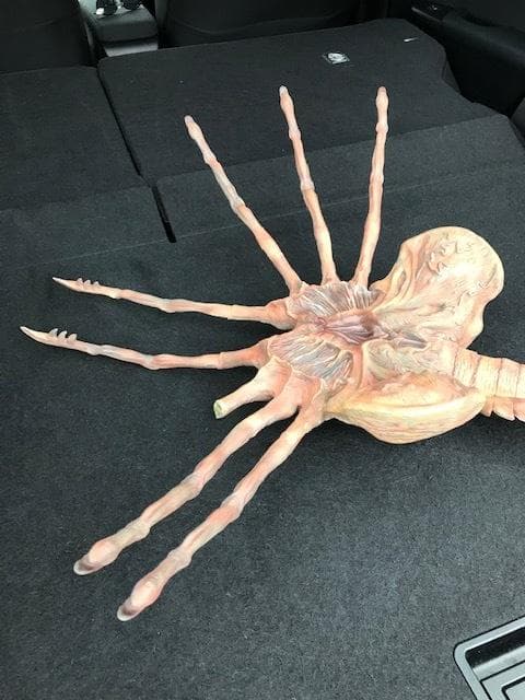 レア！クイーンフェイスハガー　1/1 組立塗装済み完成品　破損有り