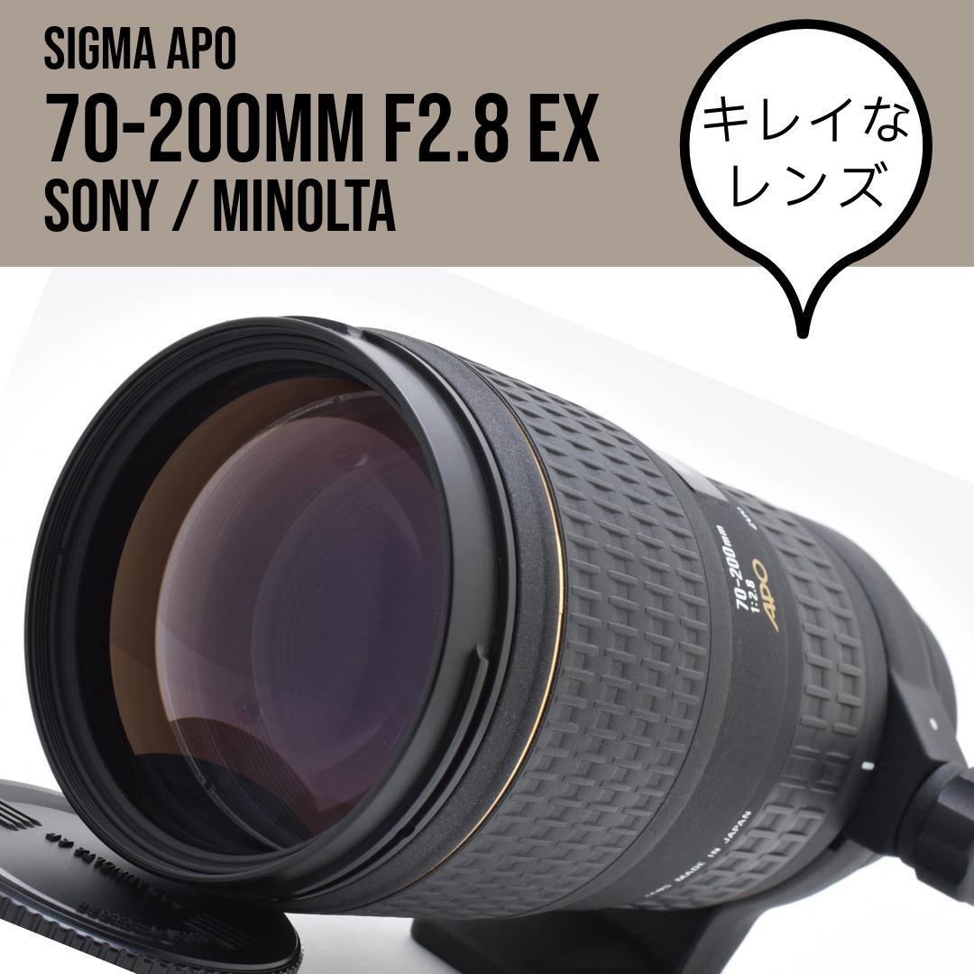 シグマ SIGMA 70-200mm F2.8 APO EX ソニーミノルタ