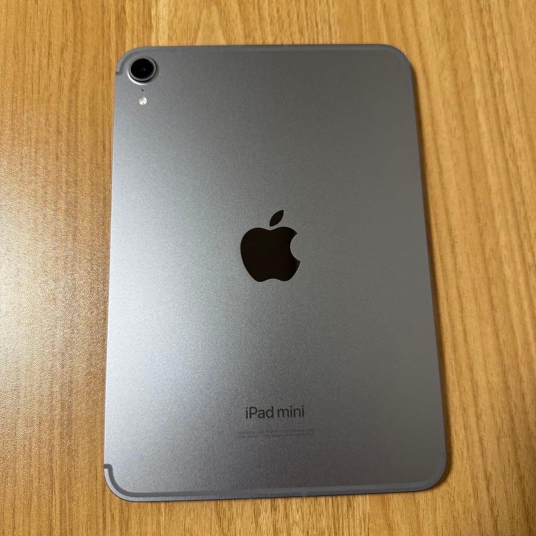 iPad mini 第7世代 セルラー 256GB バッテリ100% ケース付