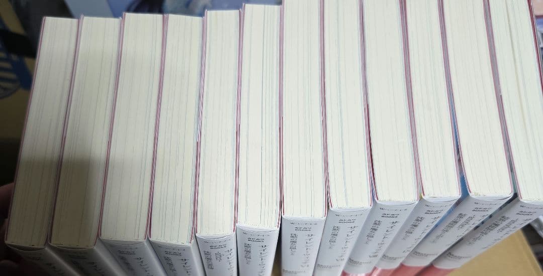 サイレント・ウィッチ　Ⅰ~Ⅸ巻　Another上下巻　計12冊