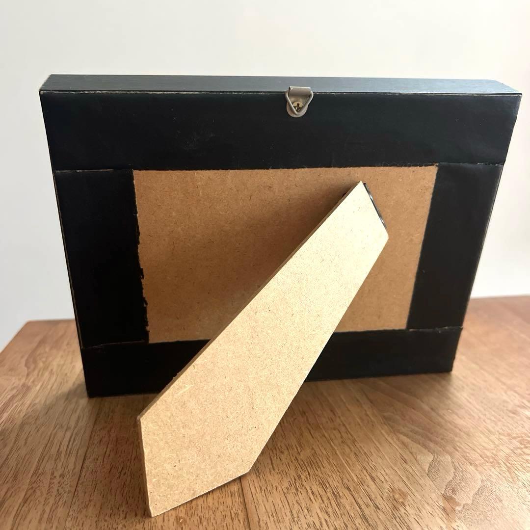 フレーム入り　 ボルネオ島クワガタムシ　標本