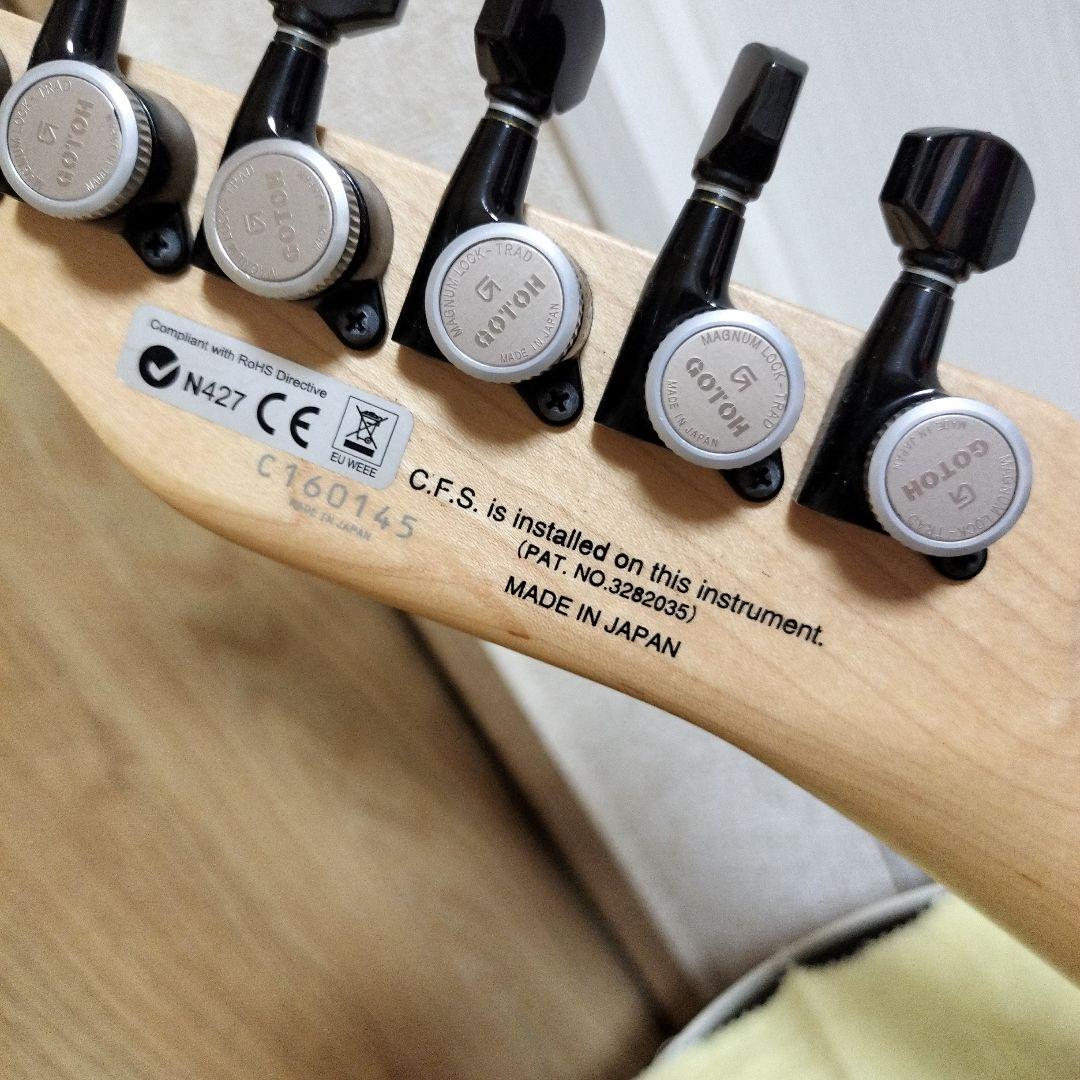 ギター FGN FUJIGEN JIL-ASH-DE664-M EMG