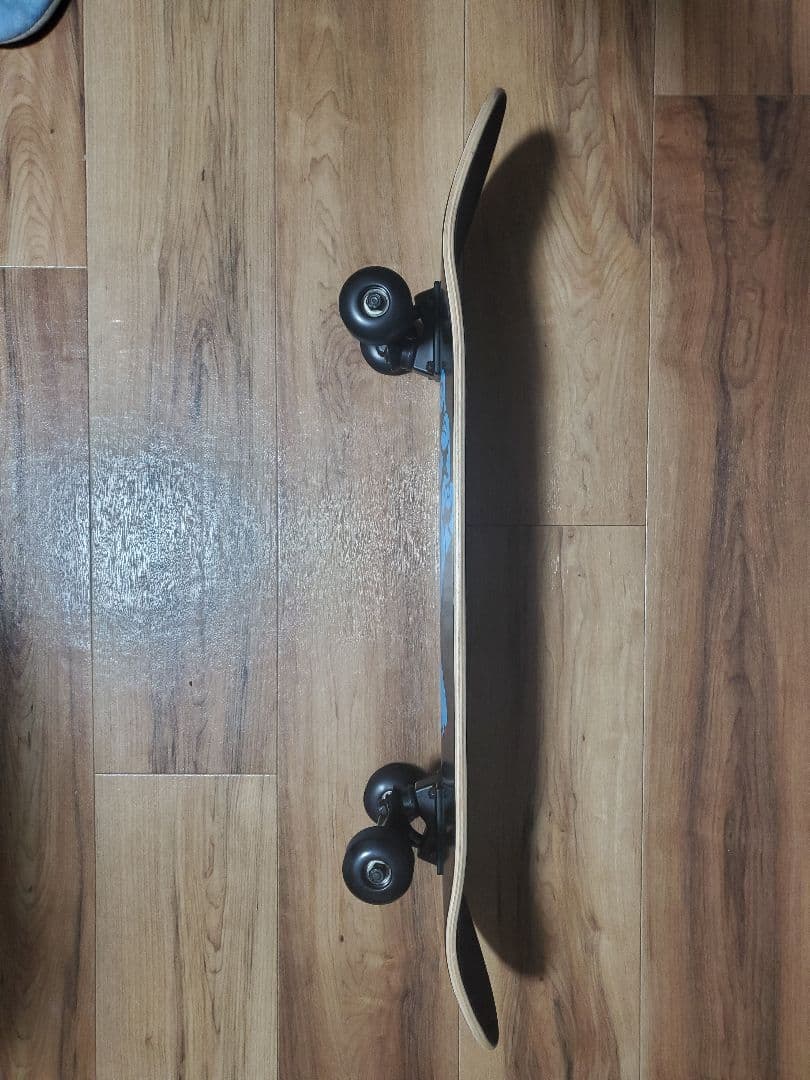 スケートボード SANTA CRUZ Skateboard 7.8x31.7 inches.