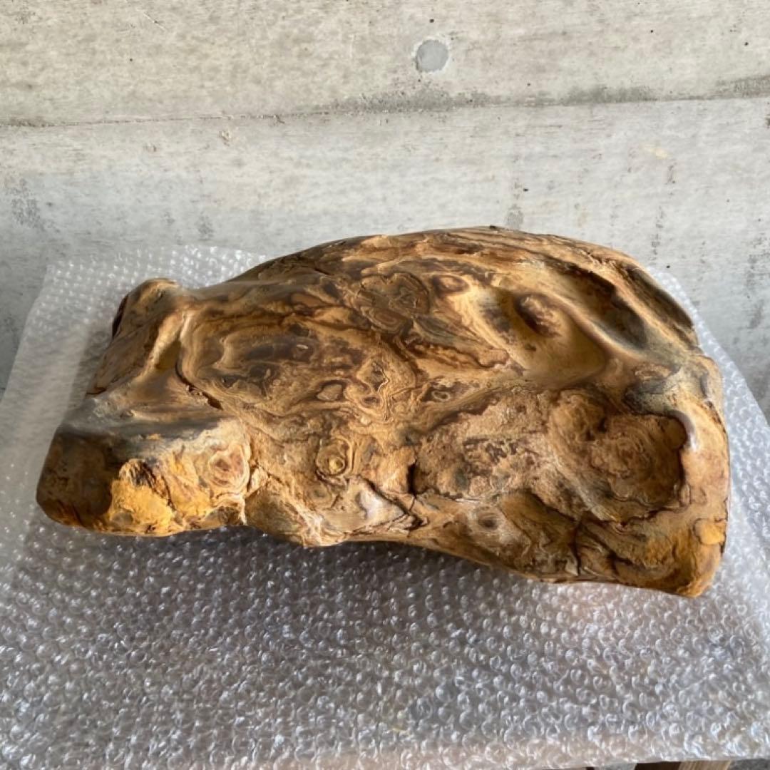 木化石 珪化木 天然 大型 置物 オブジェ 花器 フラワーベース 台座付 レトロ