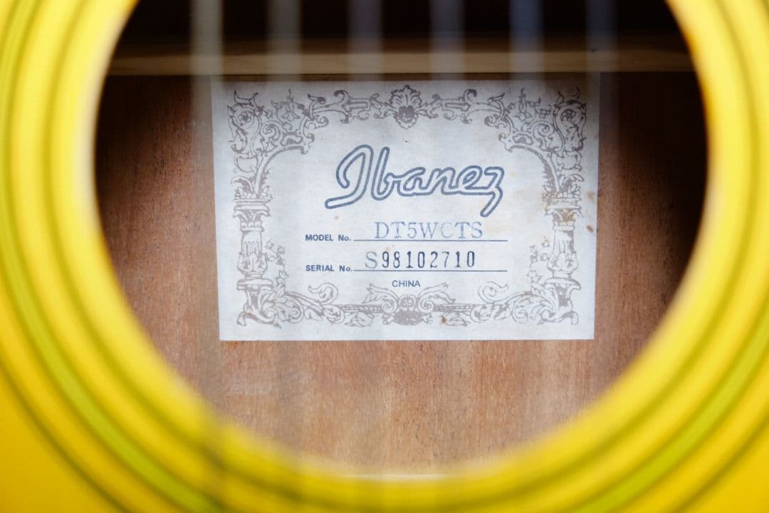 レア アイバニーズ トラベルギター アコースティックギター デイトリッパー