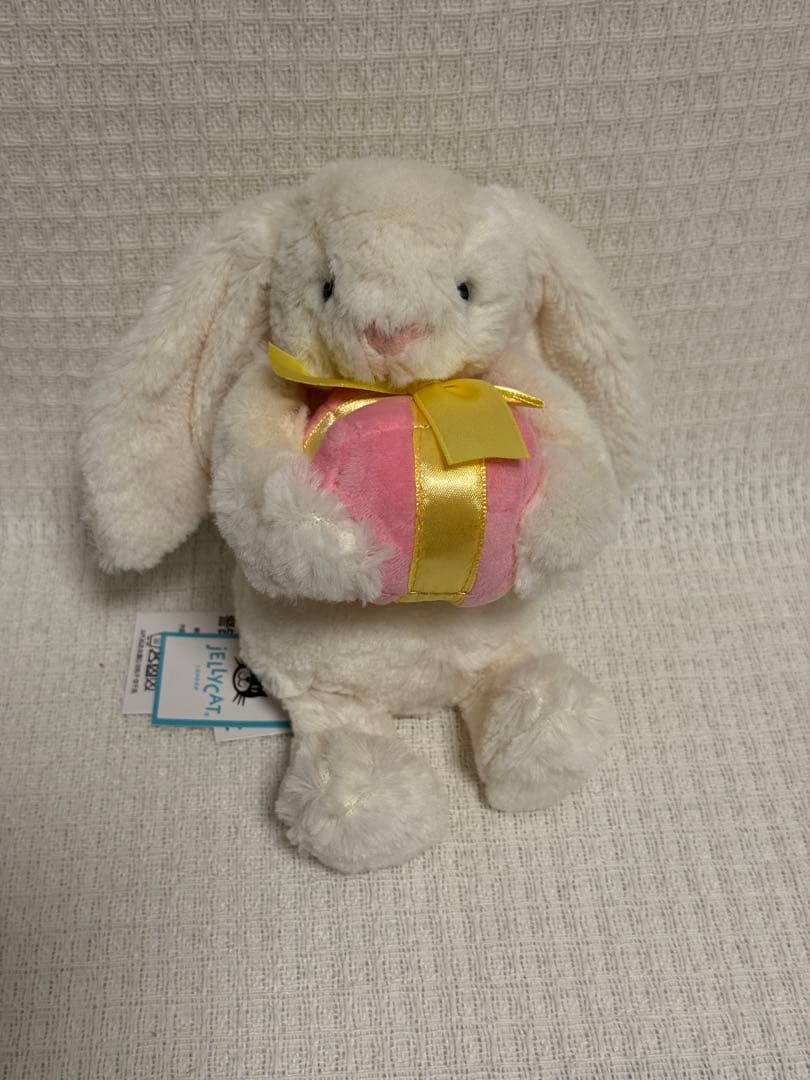 Bashful Bunny with Presentうさぎ 箱を持ったうさぎ