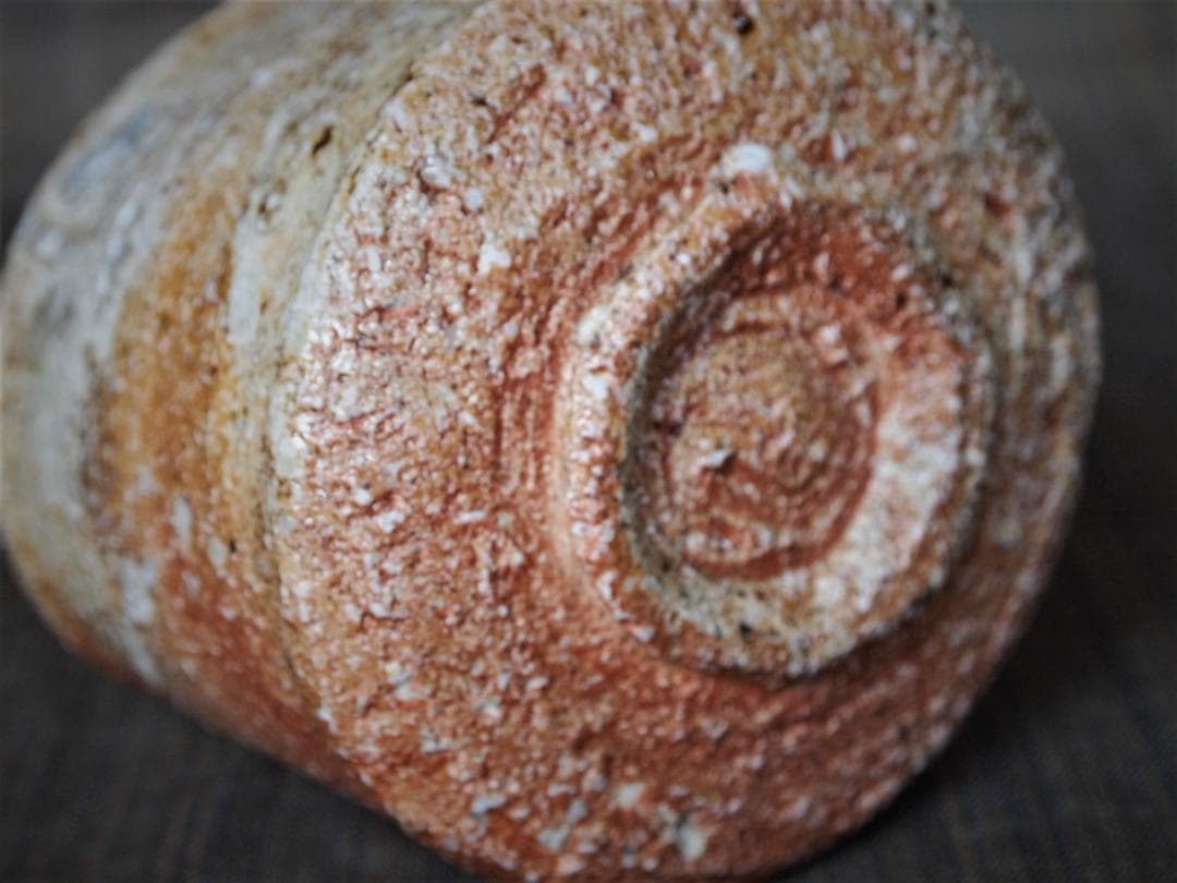 未使用★古谷和也【師＆父：古谷道生氏】信楽《窯変》茶碗★共箱・布