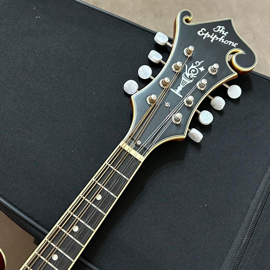 Epiphone MM-50E エレキ マンドリン エピフォン ハードケース