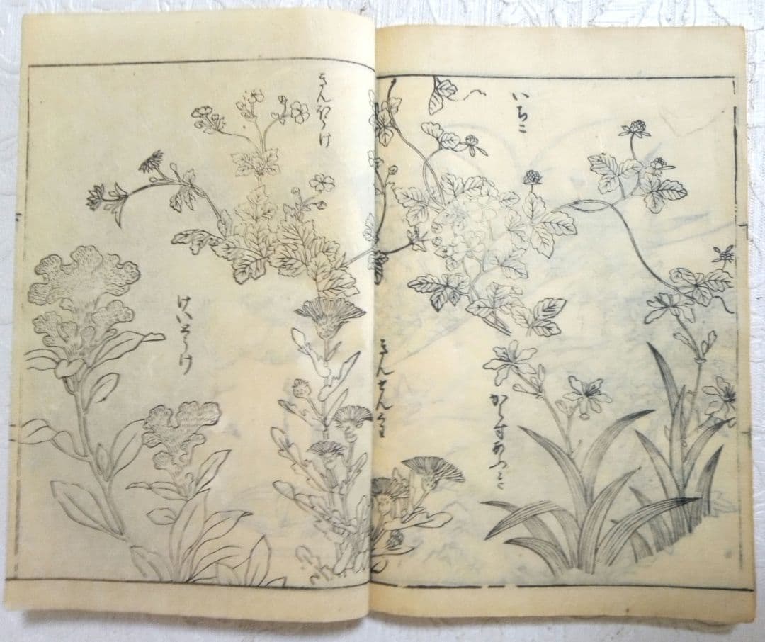 草木鳥獣諸職繪手本(黒摺り版画本)紀朝臣敏作画、伊舟屋善兵衛板、文政元年出版