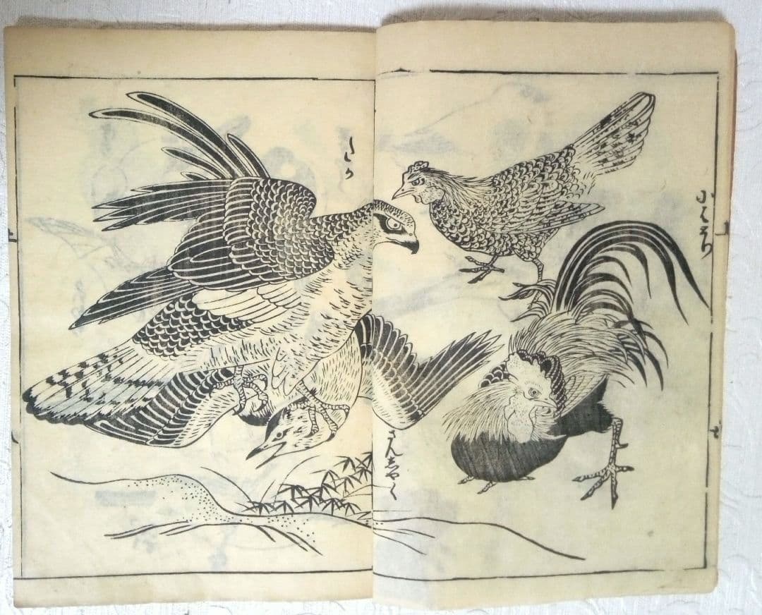 草木鳥獣諸職繪手本(黒摺り版画本)紀朝臣敏作画、伊舟屋善兵衛板、文政元年出版