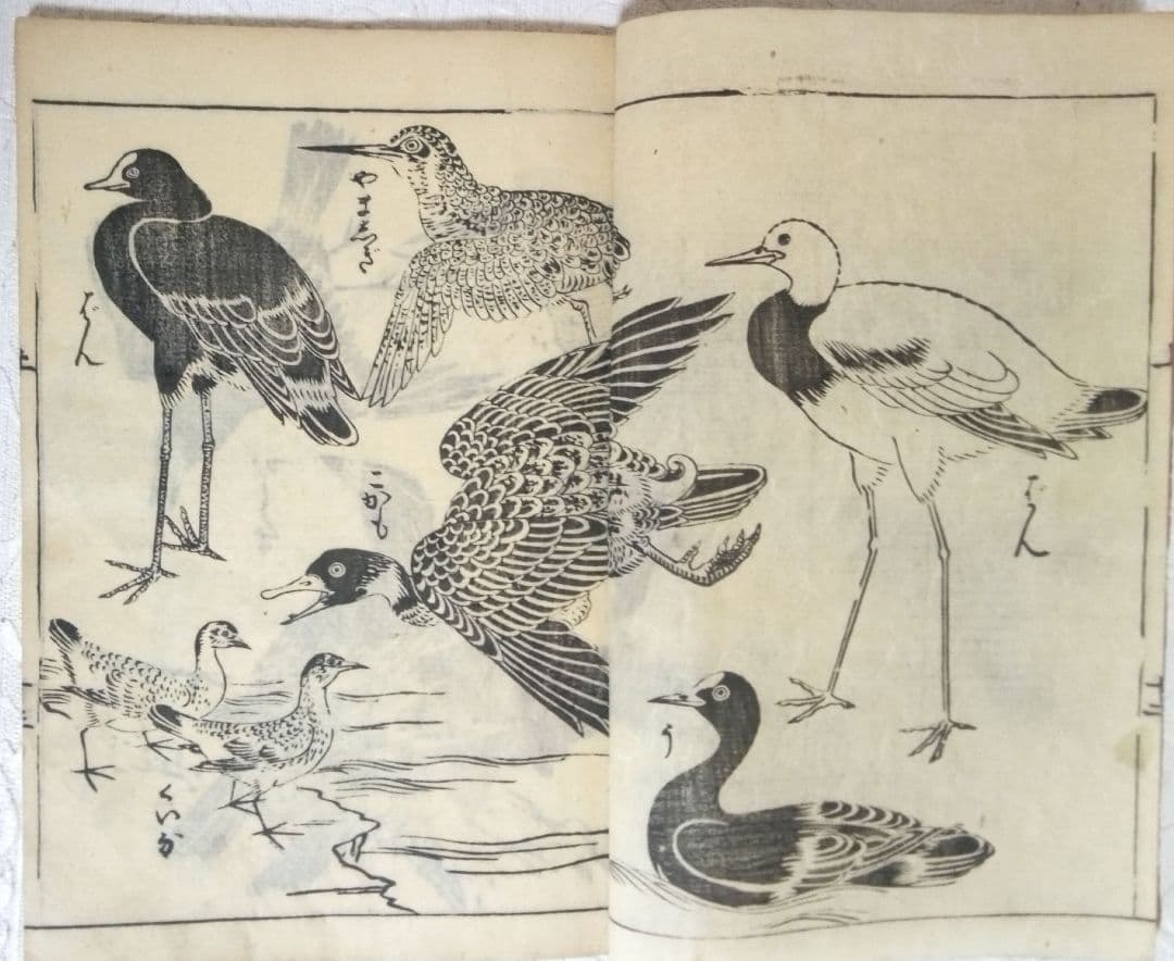 草木鳥獣諸職繪手本(黒摺り版画本)紀朝臣敏作画、伊舟屋善兵衛板、文政元年出版