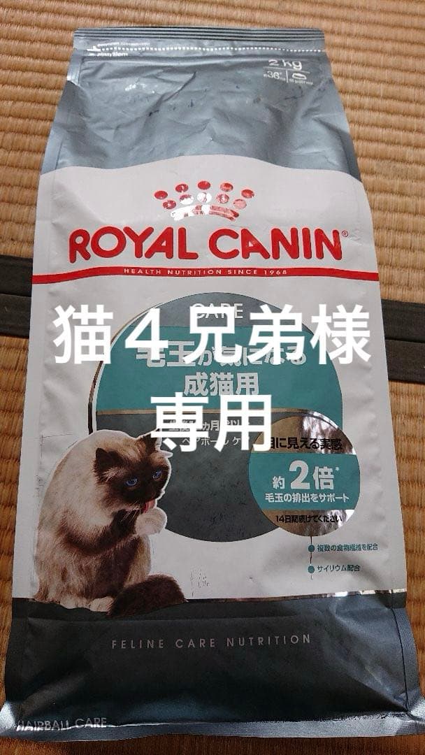 猫４兄弟　　ロイヤルカナン