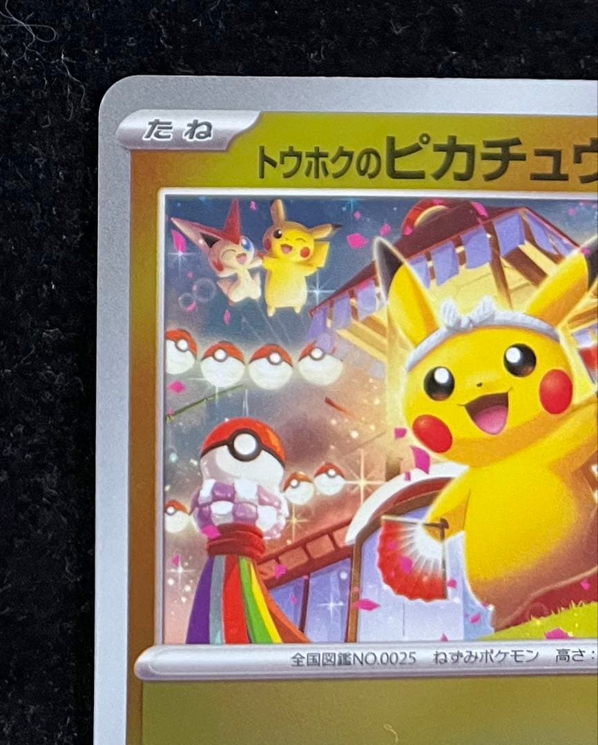 トウホクのピカチュウ ②