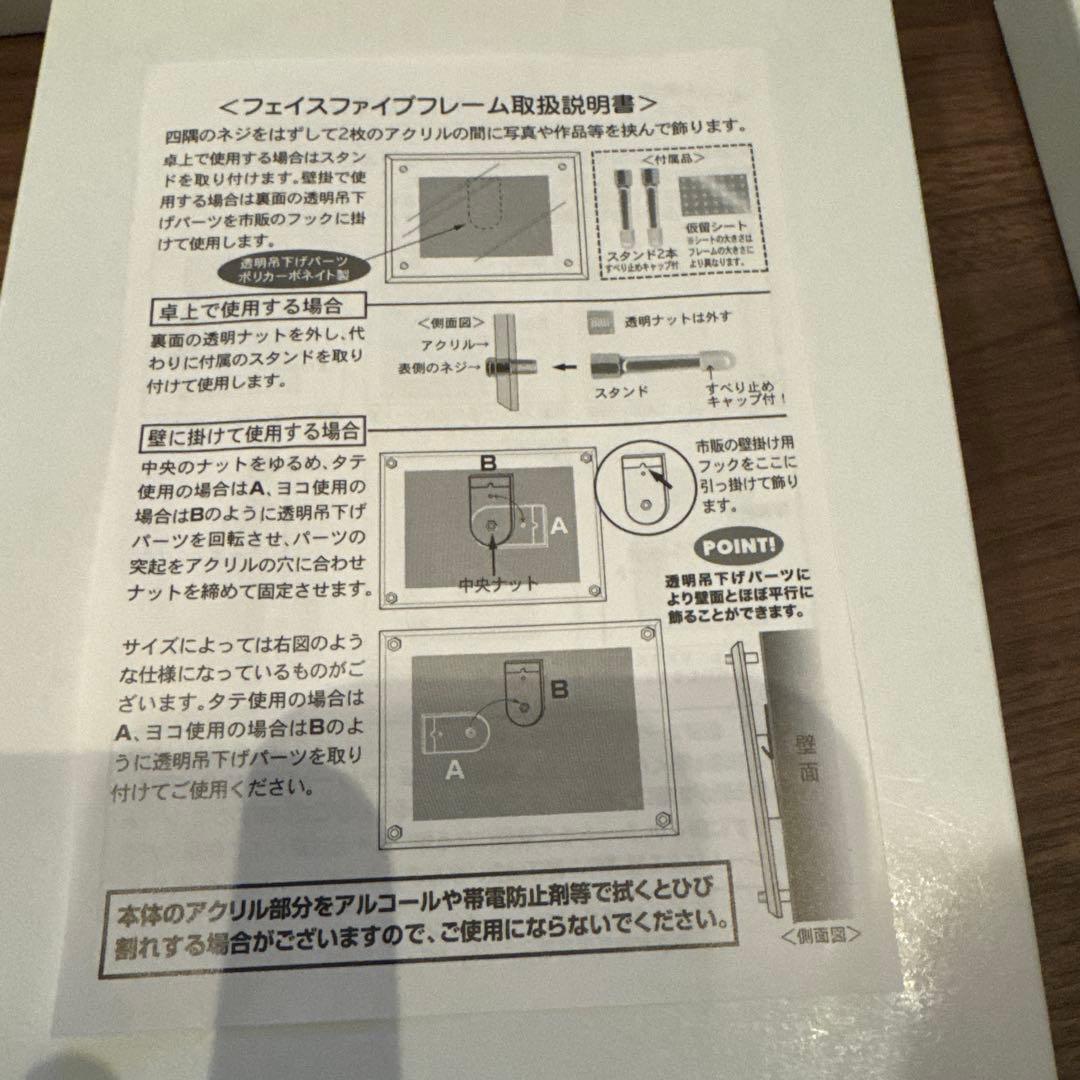蝶の標本14匹セット