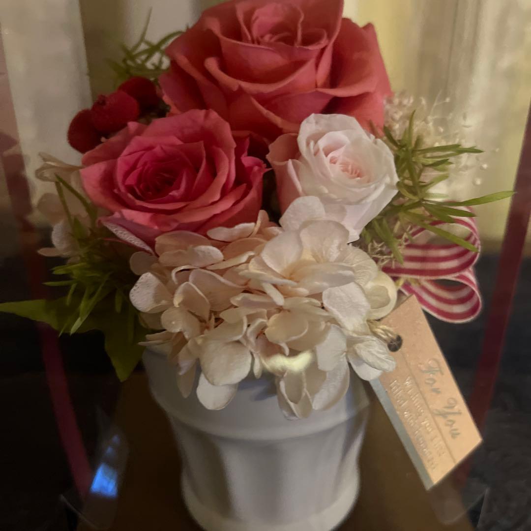 はな　　　Panasonic NR-B146W 冷蔵庫