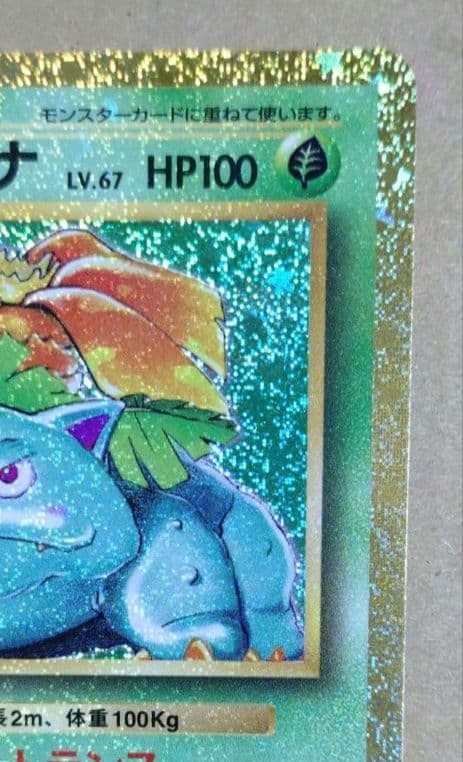ポケモンクラシック カメックス フシギバナ 2枚セット ポケモンカード 美品