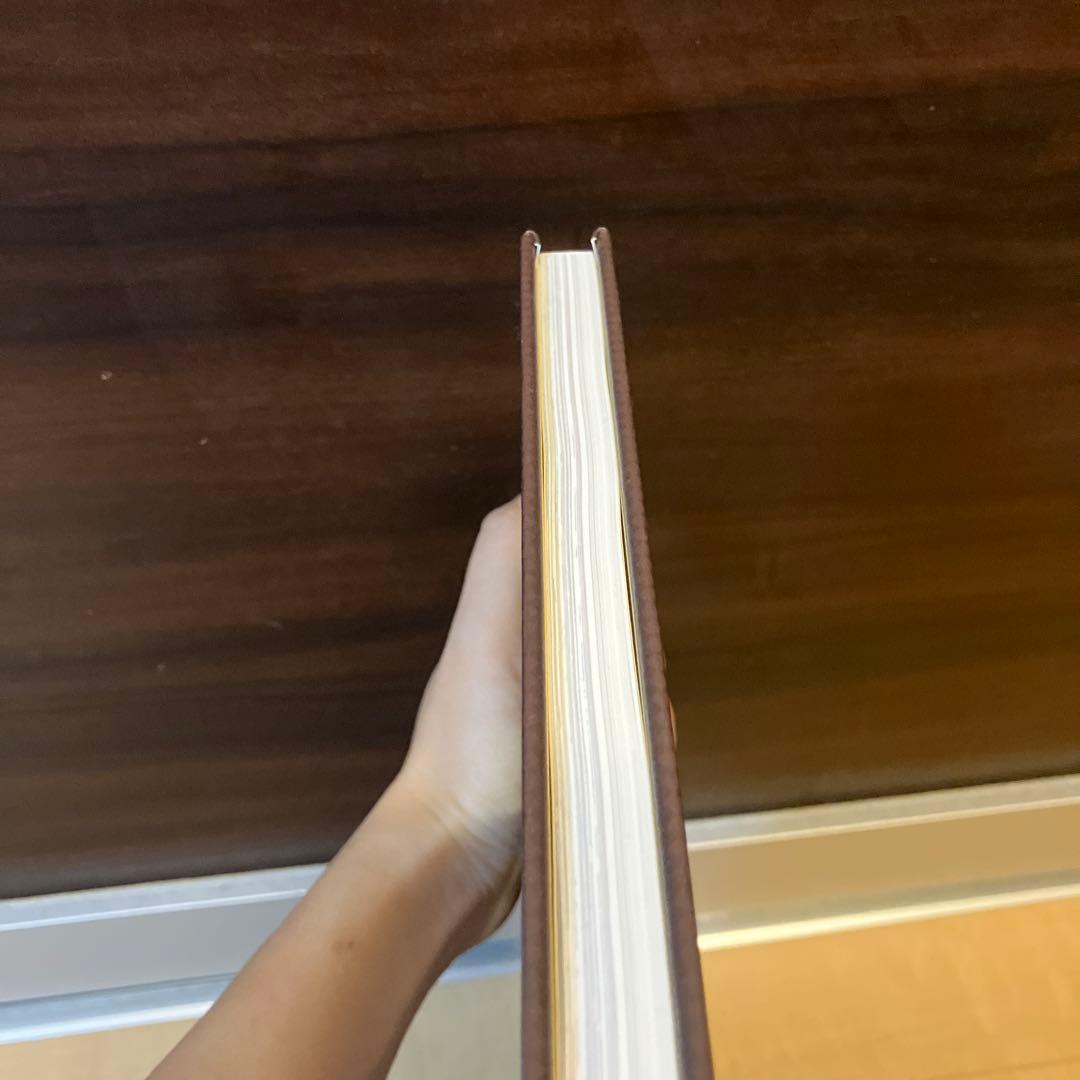 サブロウタ citrus　art book 帯付き 画集　イラスト集