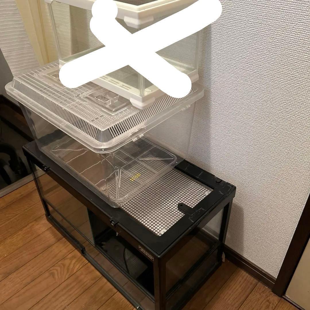 爬虫類・両生類 飼育ケージ 2つセット　ダントツ付き