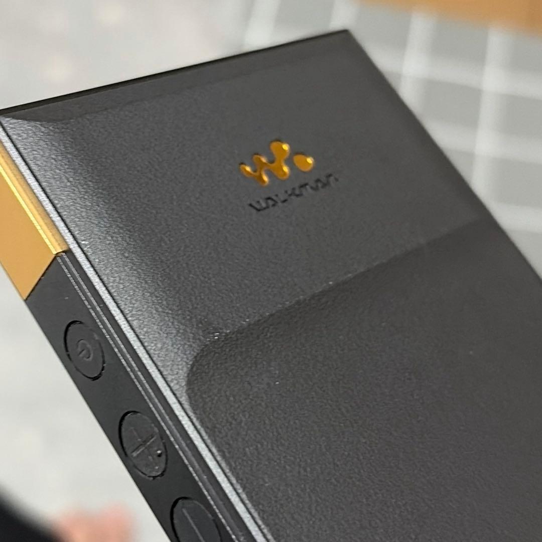 SONY NW-ZX707 純正ケース&ガラスフィルムセット