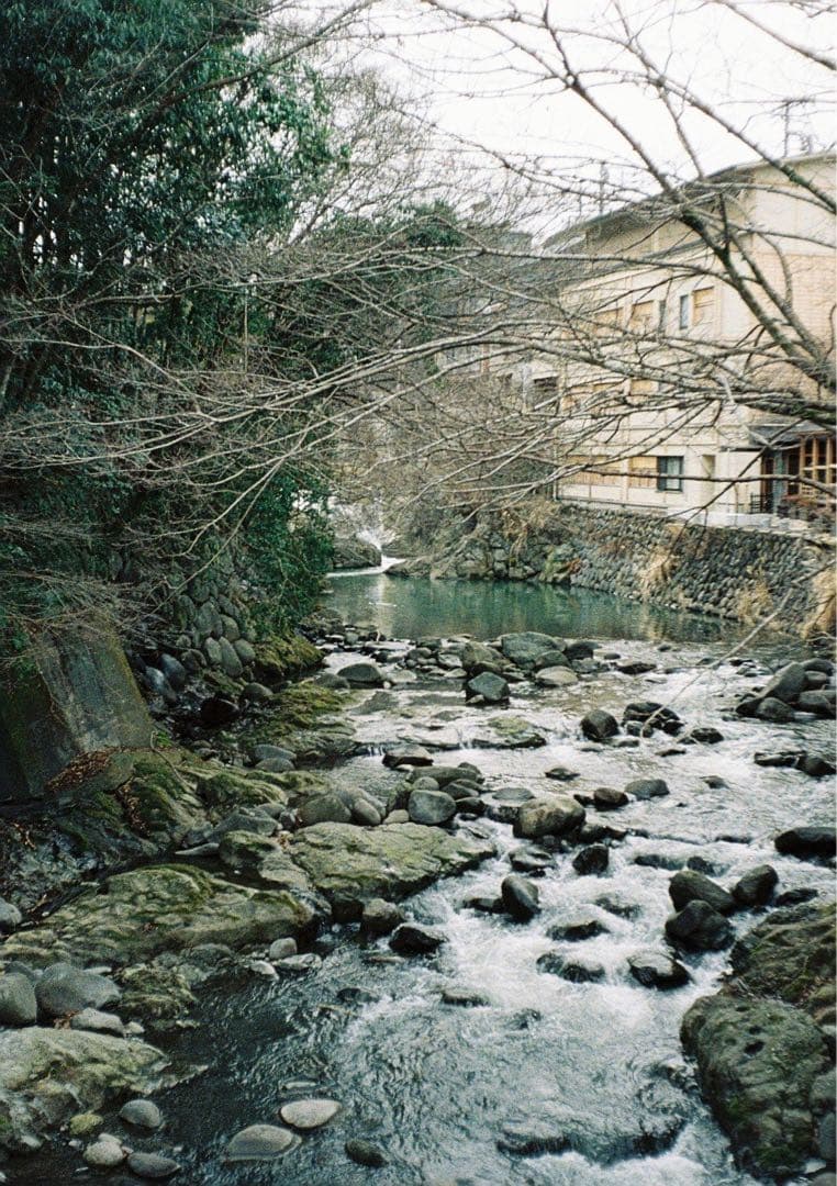 Minolta repo ハーフカメラ フィルム