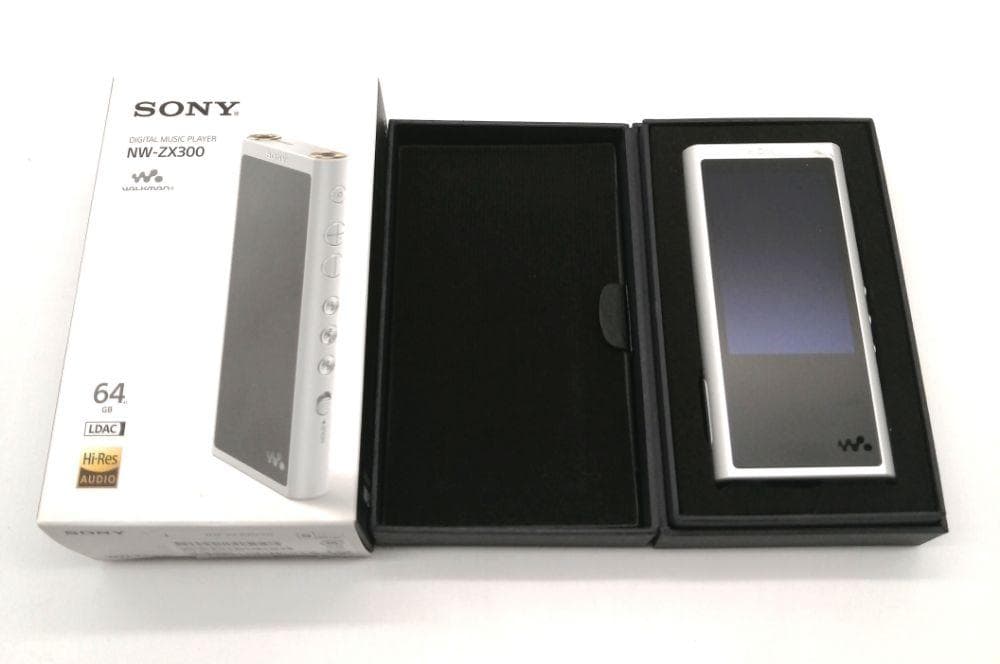 NW-ZX300 SM シルバー