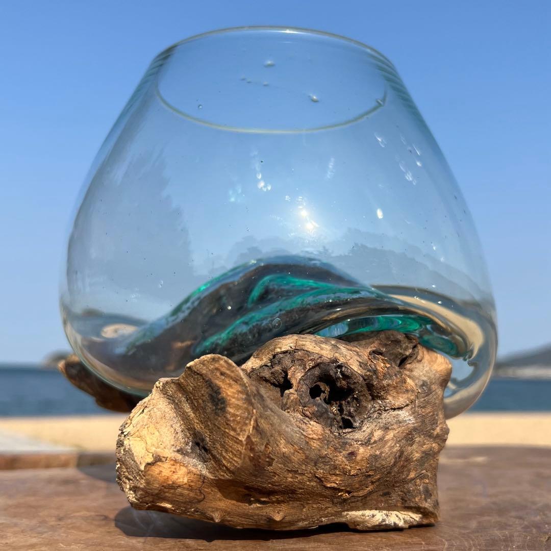 流木ガラス オブジェ中P 花瓶 金魚鉢 ガーデニング テラリウム 観賞魚 容器