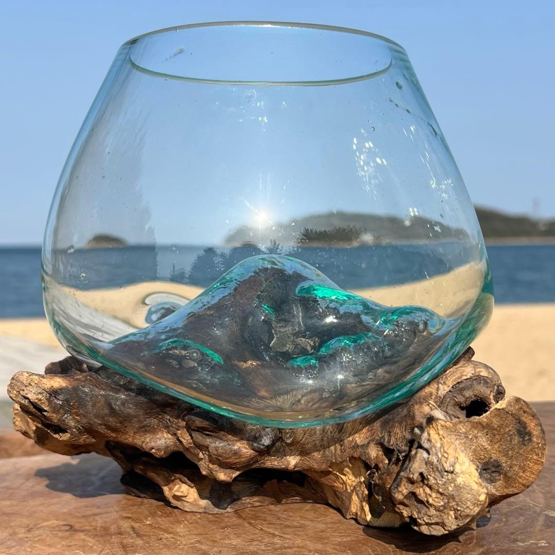 流木ガラス オブジェ中P 花瓶 金魚鉢 ガーデニング テラリウム 観賞魚 容器