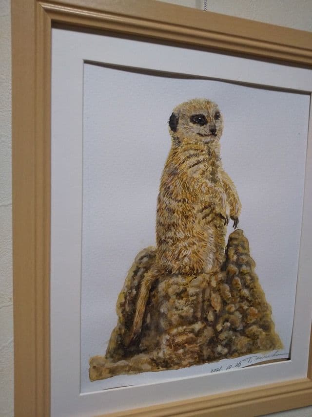 ミーアキャットさん