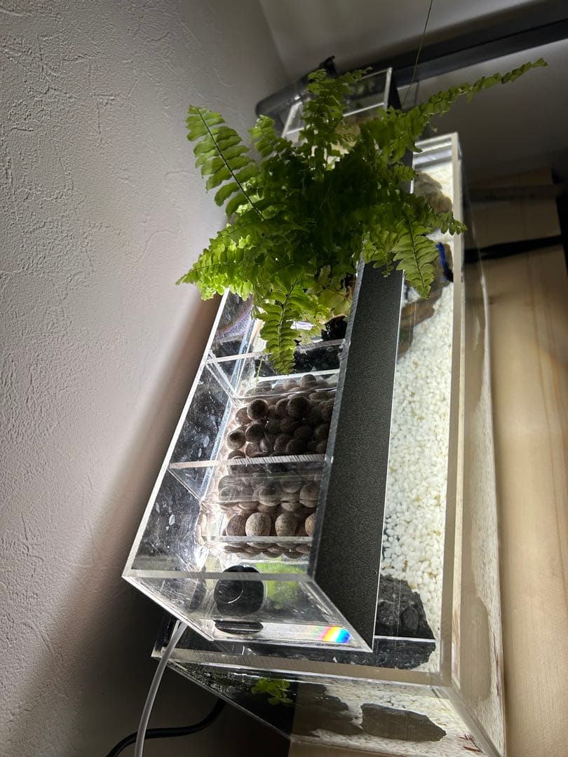 【格安】アクリル製ベタポニックス水槽