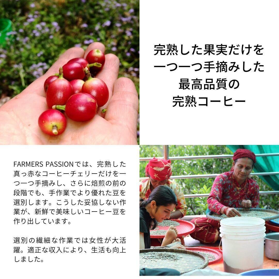 ★オーガニックコーヒー ストロング フェアトレード 1kg コーヒー豆 ネパール