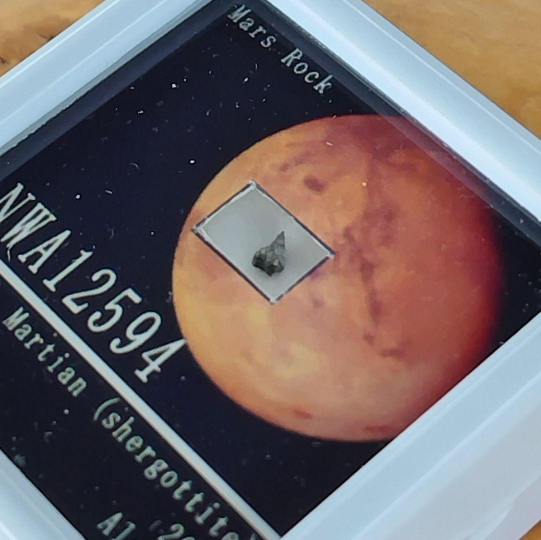 ⭐火星の石！シャーッゴッタイト　 NWA 12594　隕石標本