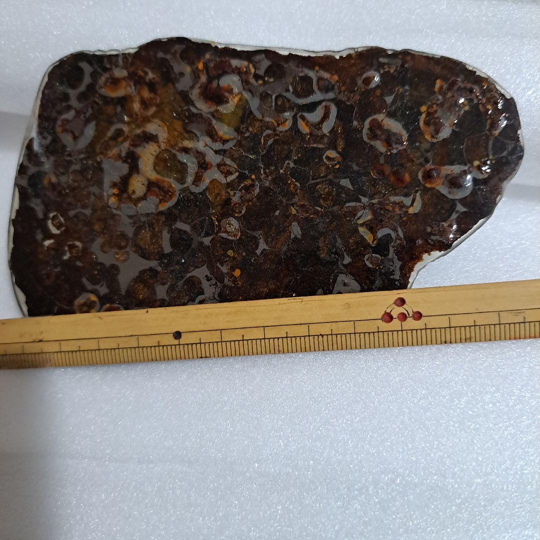 ケニア産　セリコで発見 パラサイト隕石　石鉄隕石