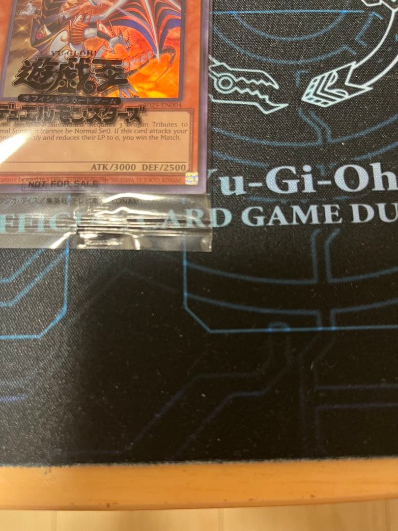 日本選手権　プロモ　値下げ不可