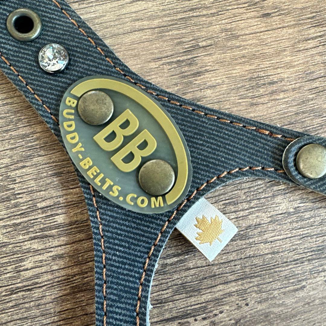 バディベルト　BB ブルージーン5号　ハーネス フルクリスタル　アクセントリード