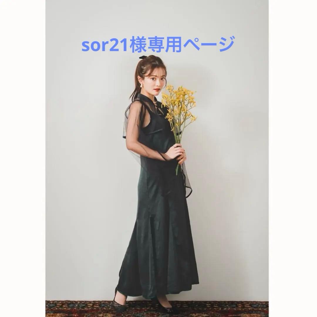 sor21ページ