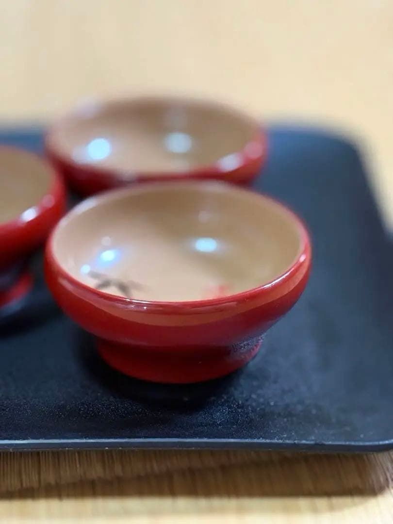 【輪島塗】赤色 漆器 杯 竹模様 10個セット