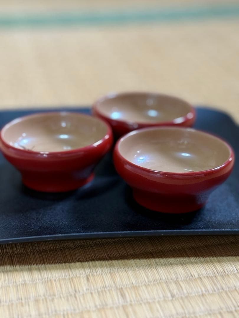 【輪島塗】赤色 漆器 杯 竹模様 10個セット