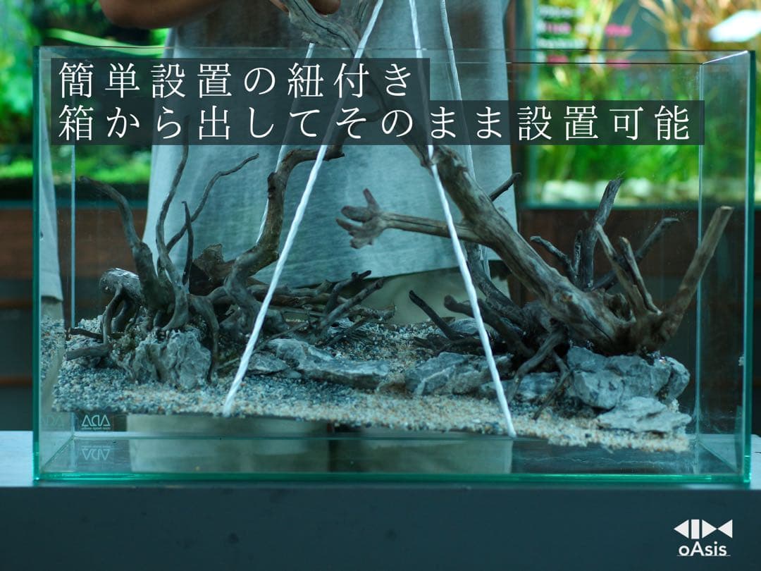 アクアリウム 流木 レイアウトセット 60cm 熱帯魚・水草水槽用