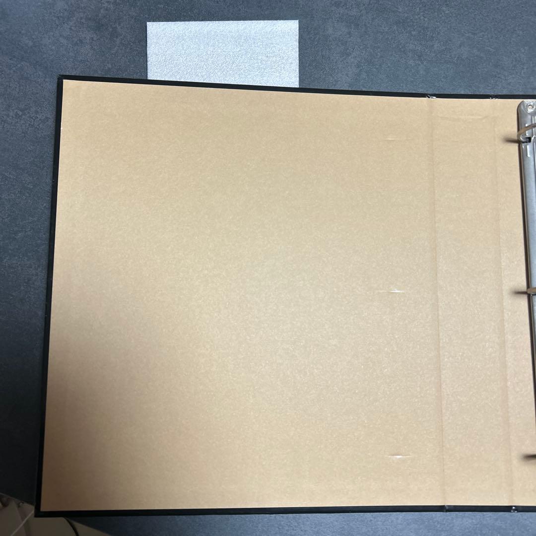 ブラッキー　エーフィ　バインダー