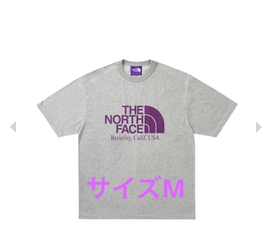 PALACE The North Face Graphic Tシャツ　グレー　M